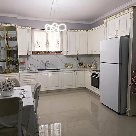 Altin's House