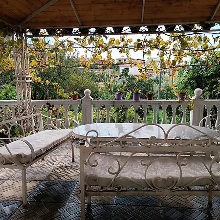 Altin's House * Tirana